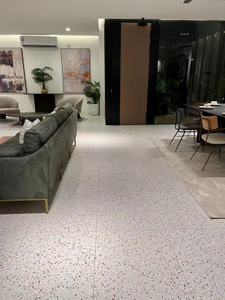 colorido baldosa de terrazo (6)